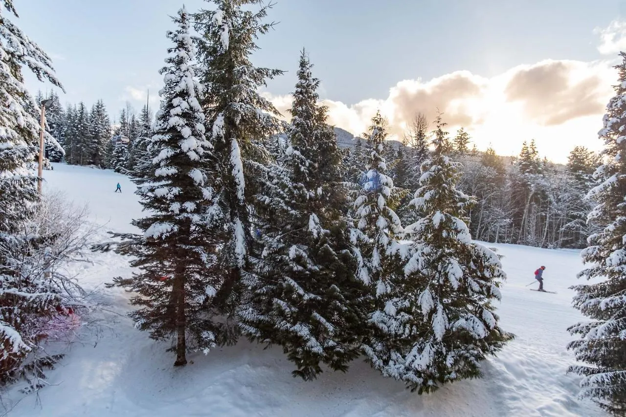 Aparthotel The Best Ski In Ski Out Two Bedroom Condo At Aspens Whistler Canada